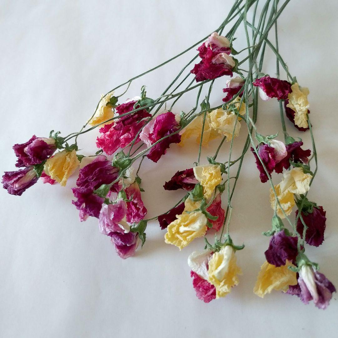 ドライフラワー様