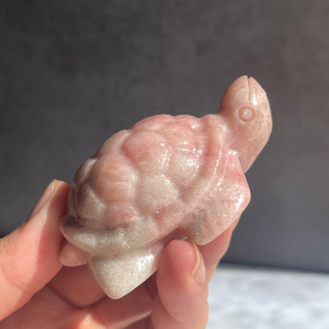 ピンク オパール 亀