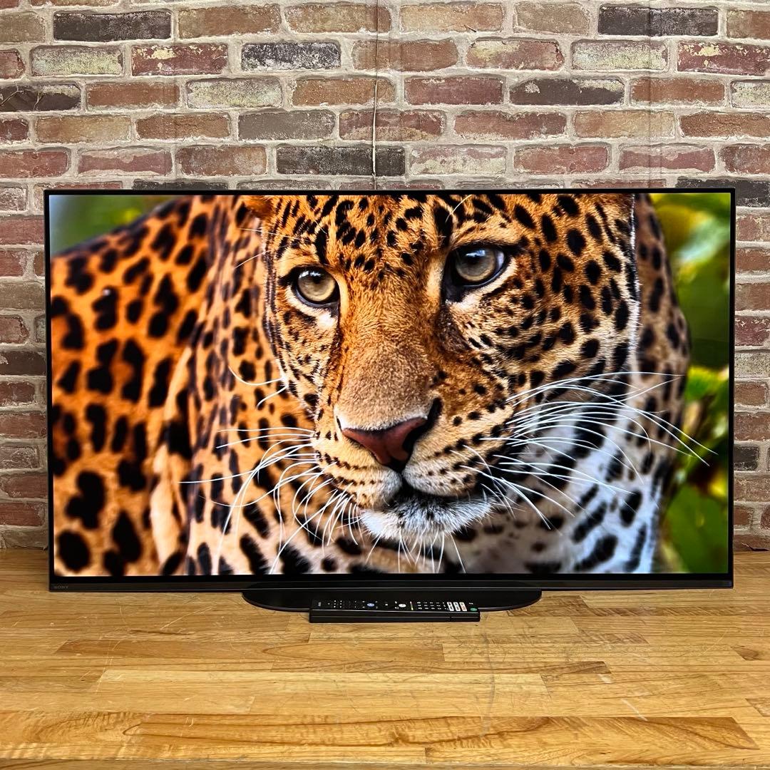 SONY 48インチ 4K 有機ELテレビ BRAVIA KJ-48A9S