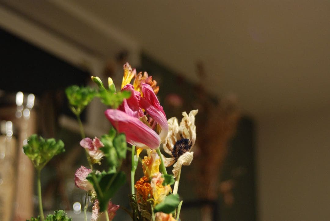 Nikon D80 CCDデジタル一眼 ニッコール　35-70レンズ付　動作品