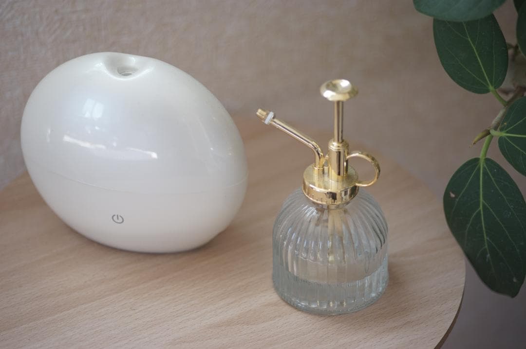 【試写】 NIKON AI-S Micro Nikkor 105mm F2.8