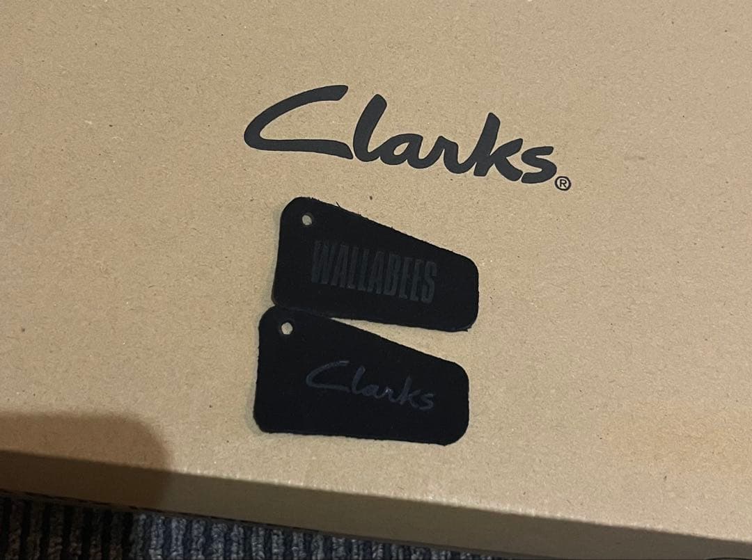 靴 Clarks Wallabee EVO WP