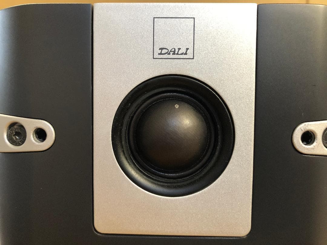 DALI スピーカー Lektor1