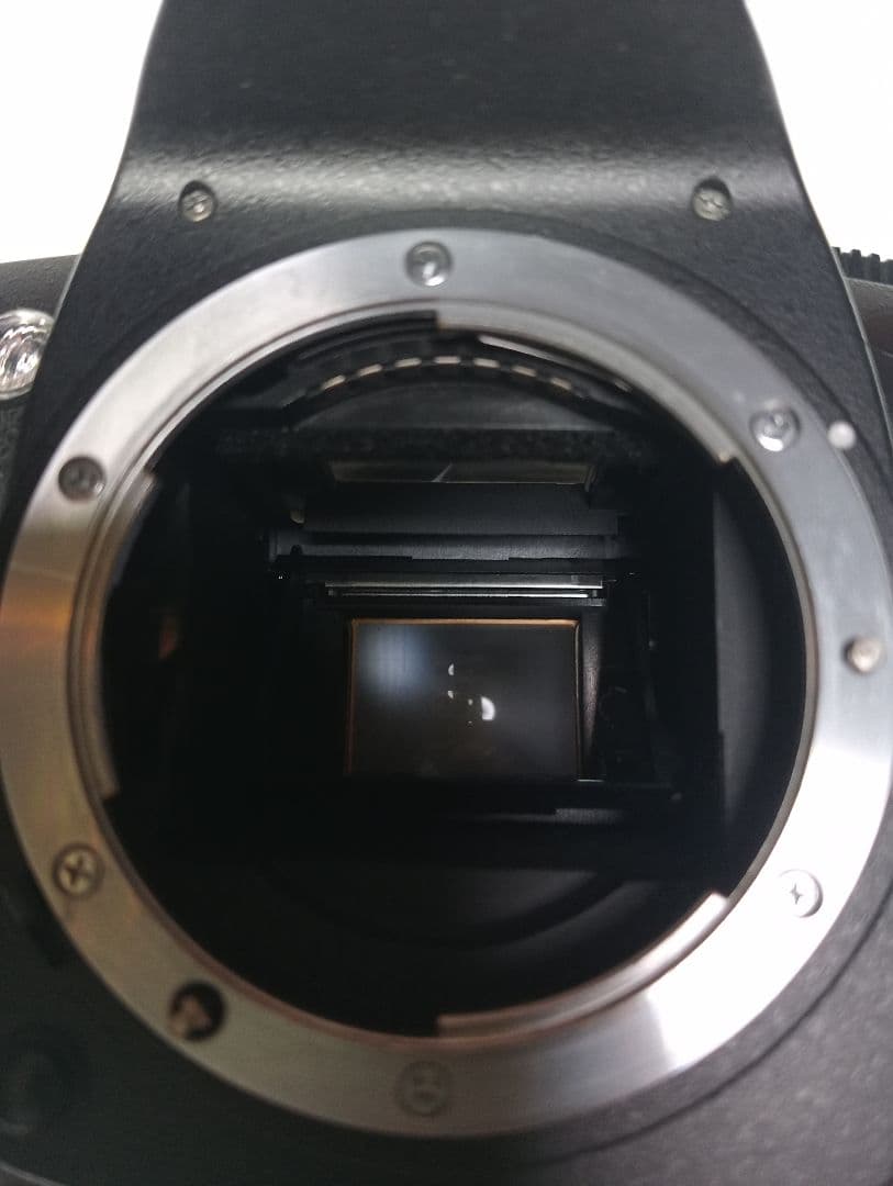 Nikon D70 デジタル一眼レフカメラレンズ付き