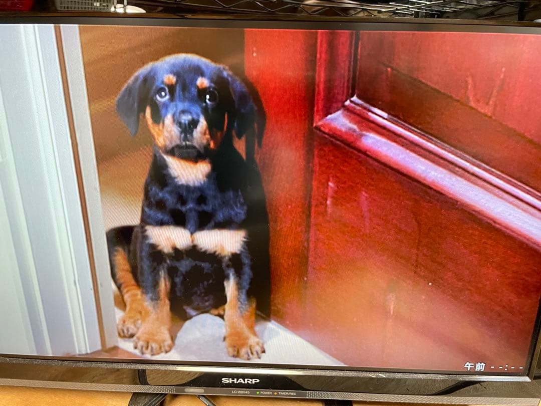 パナソニック DMR-BRS530 Blu-ray BDレコーダー　1379