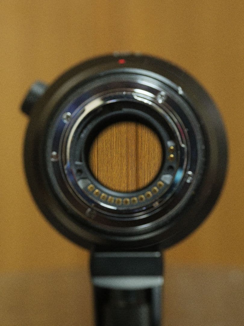 レンズ(単焦点) LUMIX leica DG ELMARIT 200mm F2.8