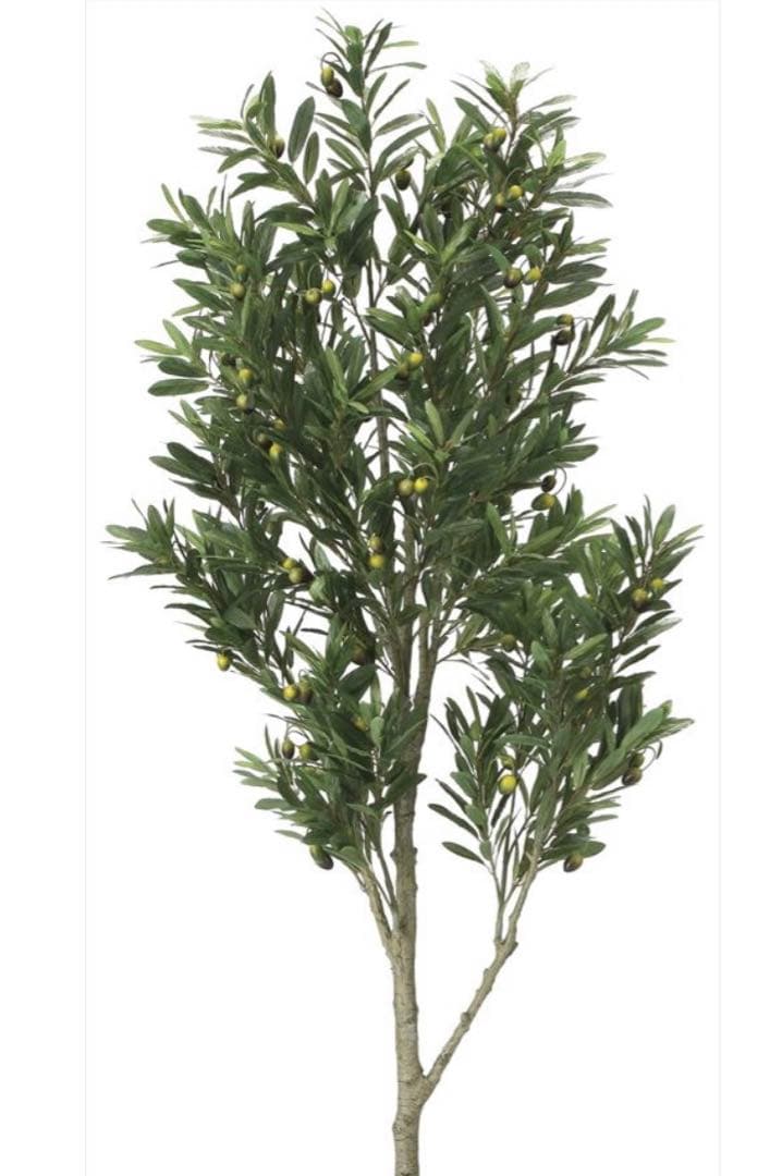 光触媒　人工観葉植物　ウォールグリーン　フェイクグリーン　オリーブツリー1.65