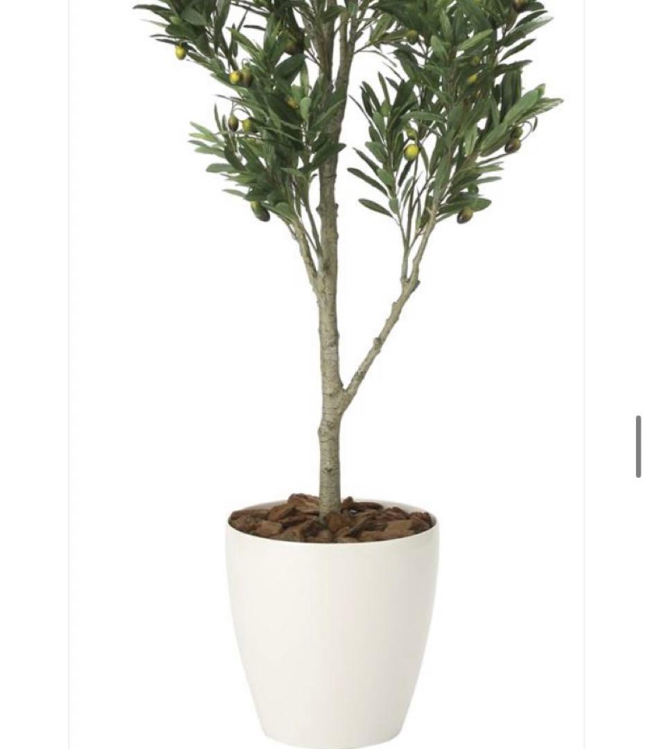 光触媒　人工観葉植物　ウォールグリーン　フェイクグリーン　オリーブツリー1.65