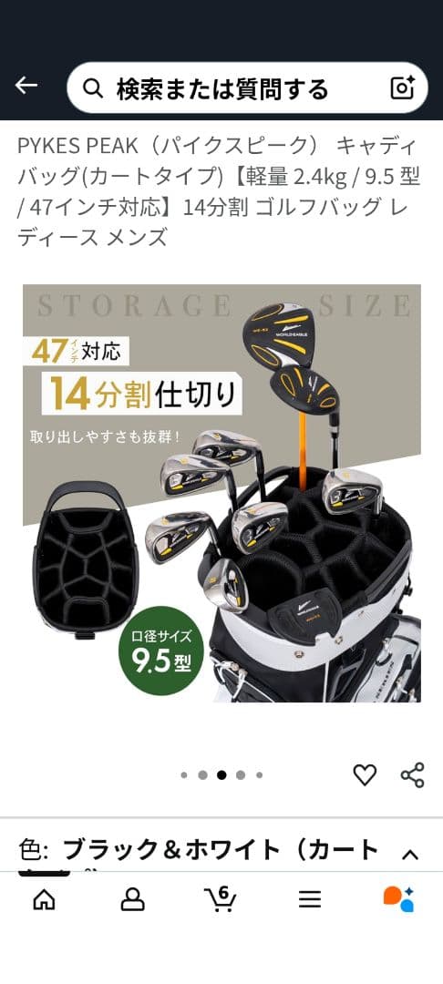 PYKES PEAKキャディーバッグ✨