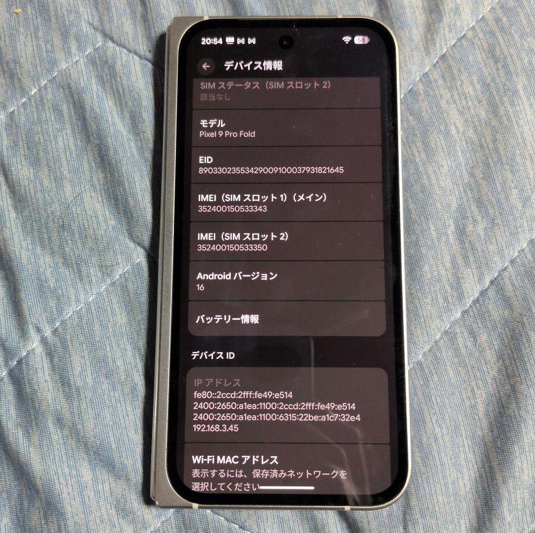 Google Pixel 9 Pro Fold 本体
