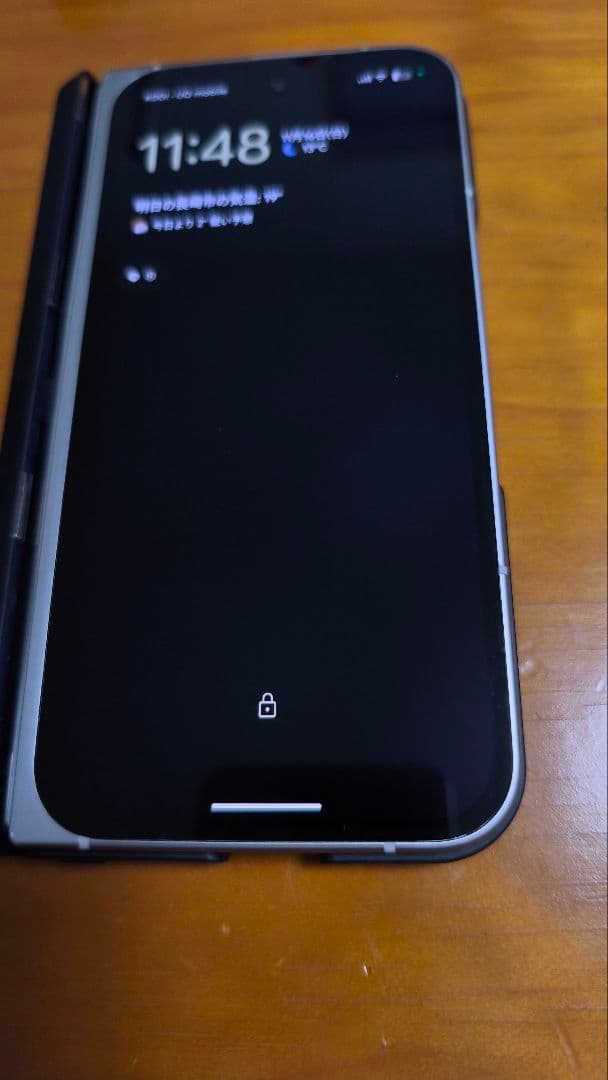 Google Pixel 9 Pro Fold 本体