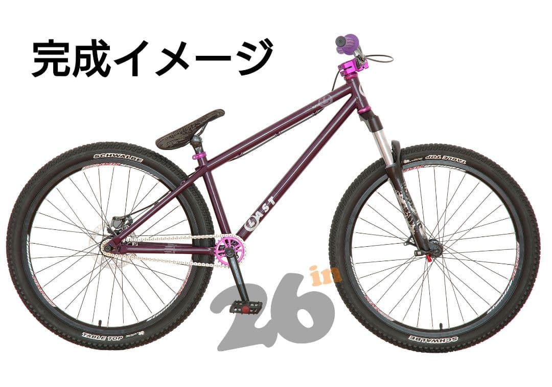 【訳あり・改造あり】 LAST BIKES RUFUS フレーム ダートジャンプ