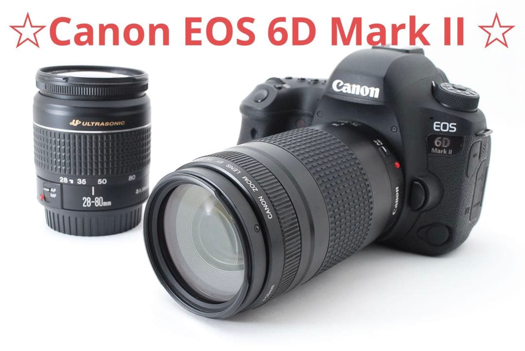 保証付キャノン☆Canon EOS 6D mark II 標準&望遠レンズセット