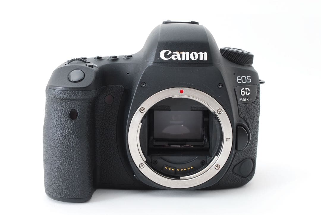 保証付キャノン☆Canon EOS 6D mark II 標準&望遠レンズセット