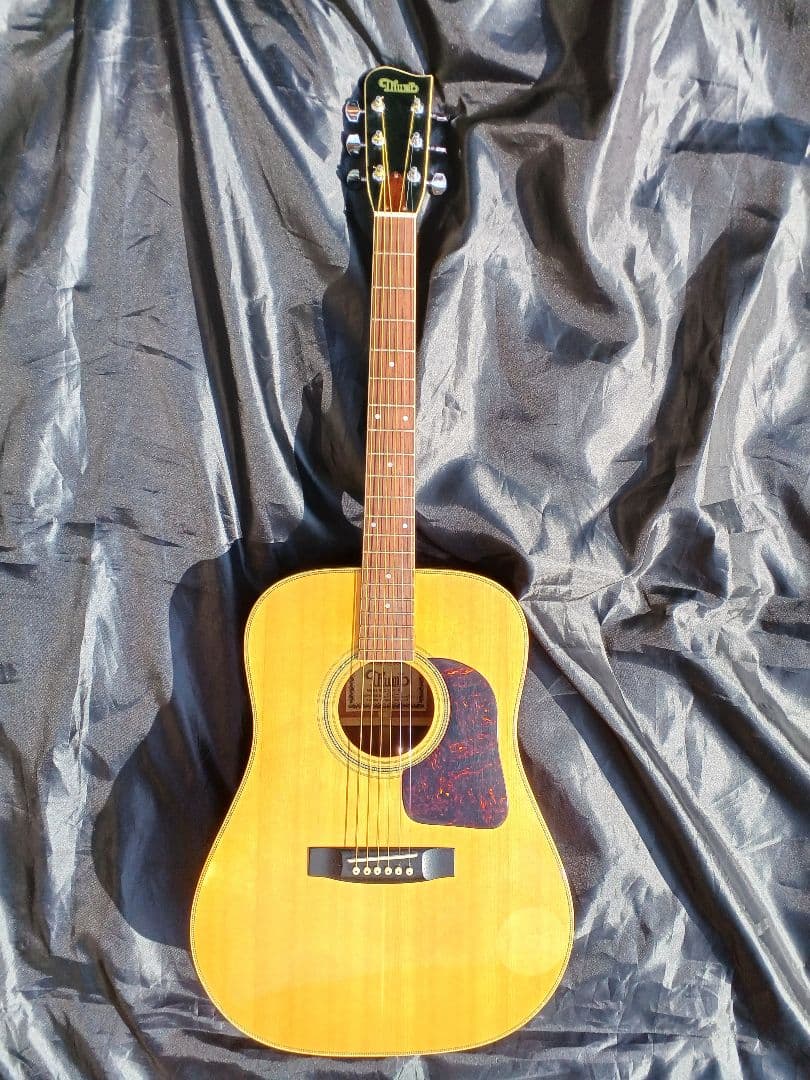 【送料込】サム　Thumb　寺田楽器　ギャラガーヘッド　整備済