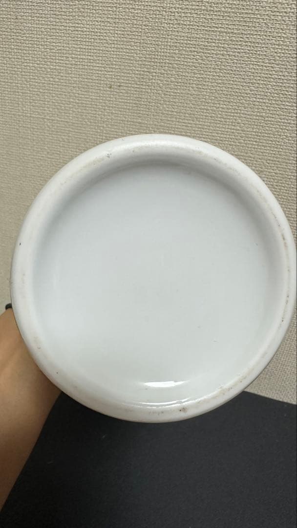 ARANCIA XO アランシア Mikan Brandy みかんブランデー