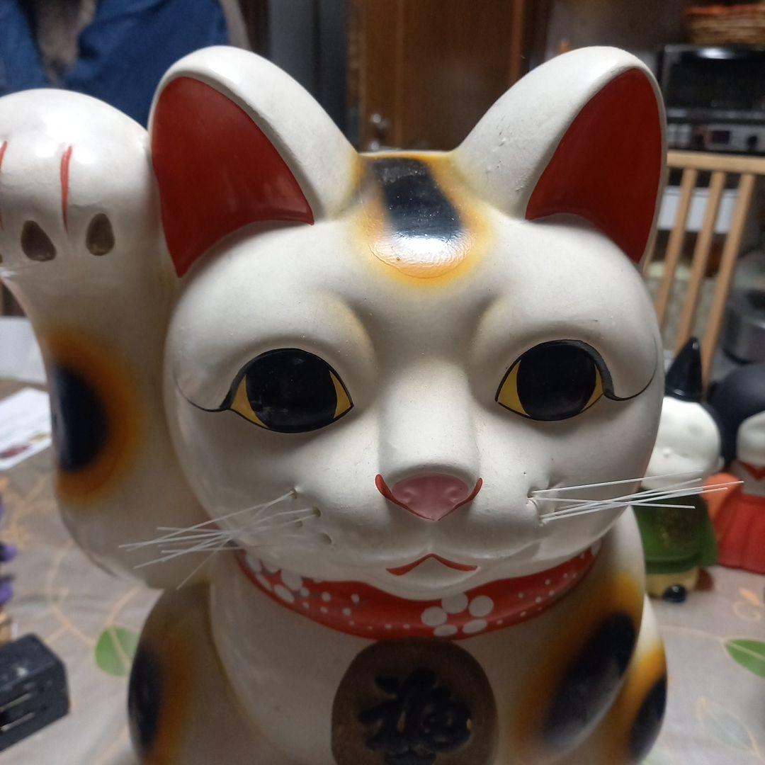 招き猫 約34cm 常滑の、金運上昇猫の置物