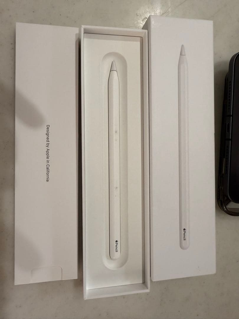 iPad mini 6 256GB Cellular Apple Pencil付