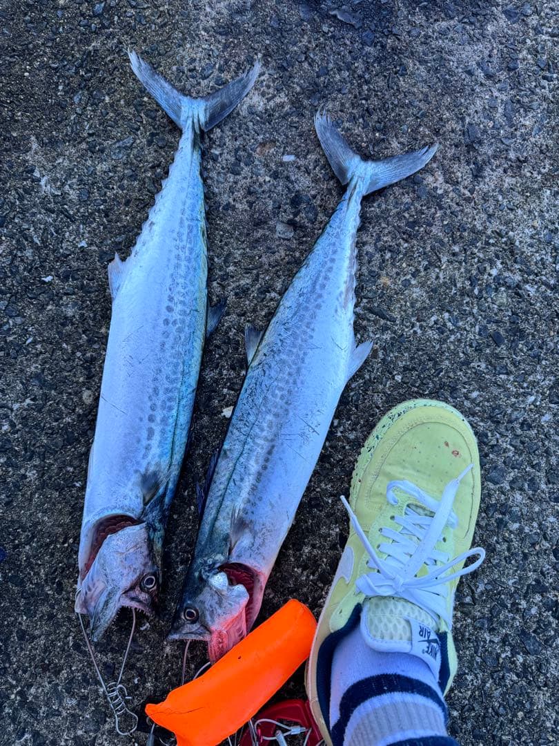 KG evolution ショアジギングロッド