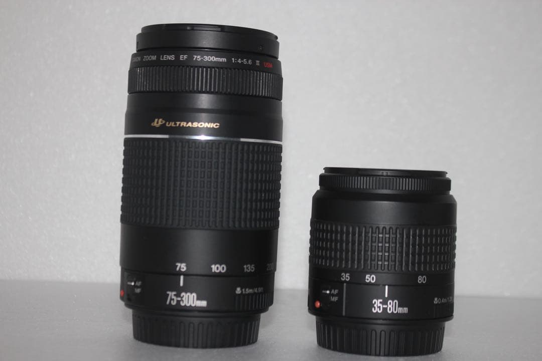 保証付/一眼レフカメラcanon kiss x10i標準&望遠ダブルレンズセット