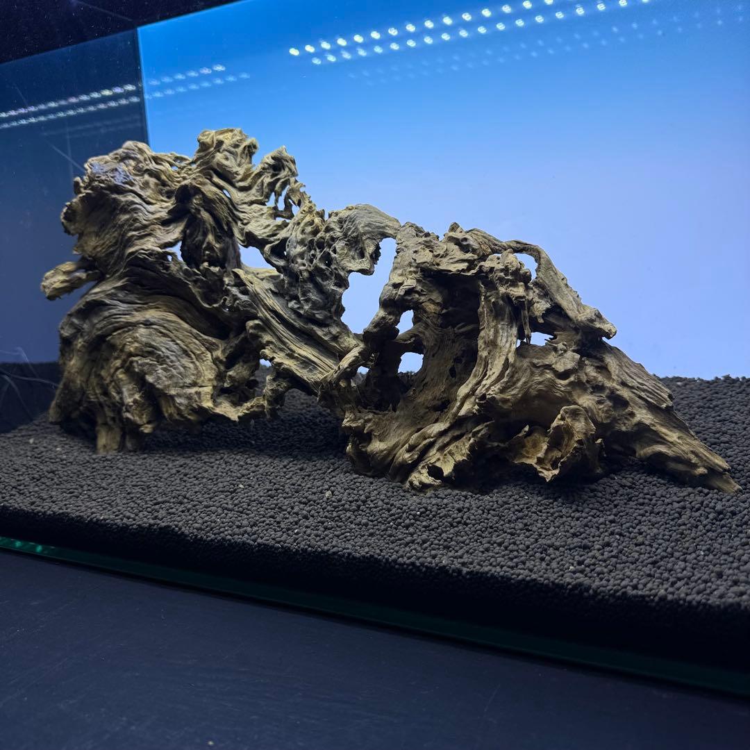 MJW-7237 「特選」ジンジャーウッド　60cm水槽用　天然流木3本セット