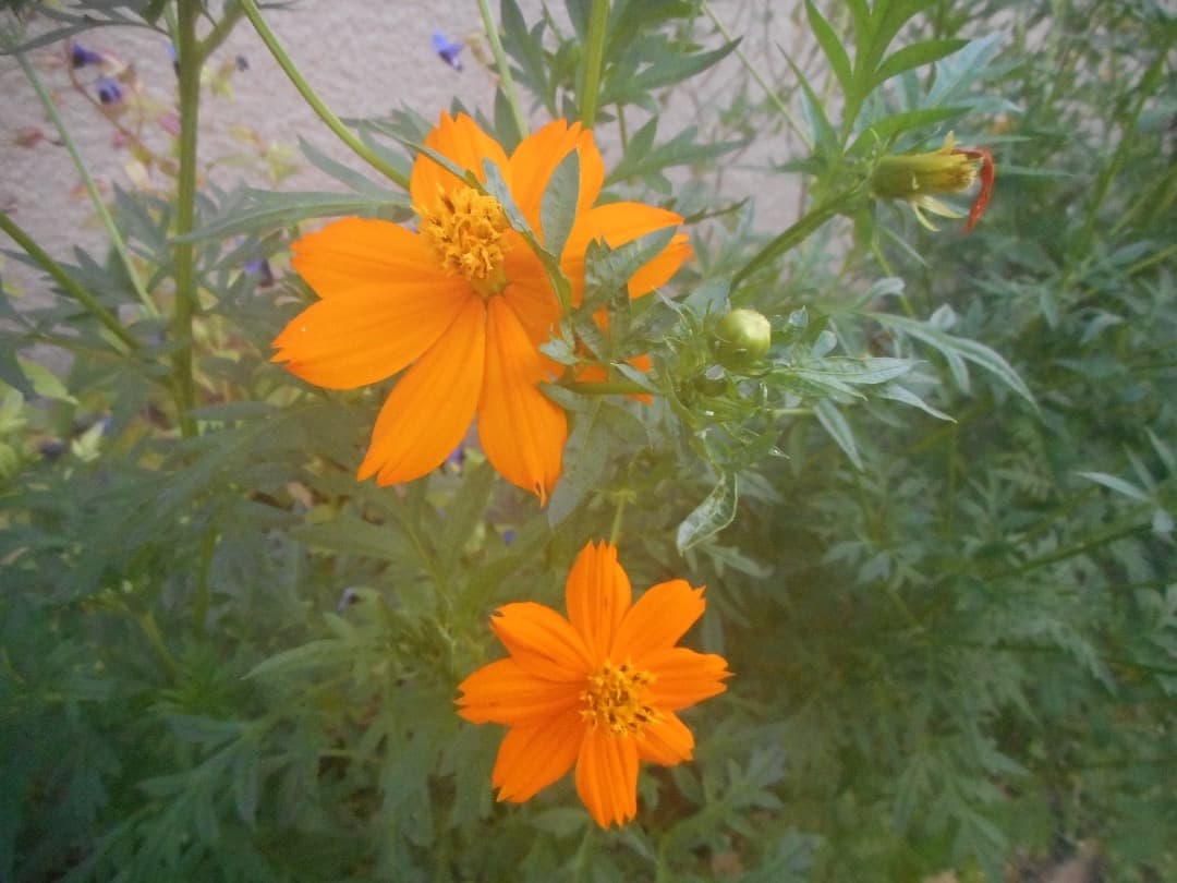 実写良⭕️【動作確認済】Nikon COOLPIX S3600 ニコン