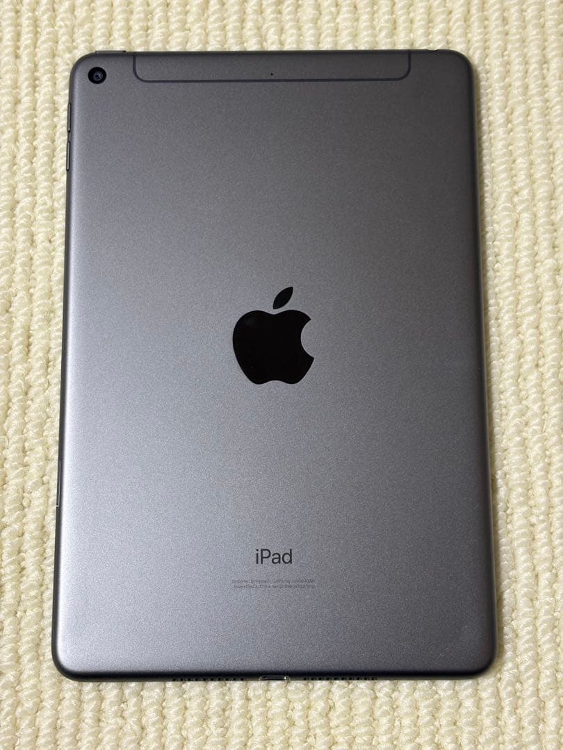 iPad mini5 256GB wifi+cellular スペースグレイ