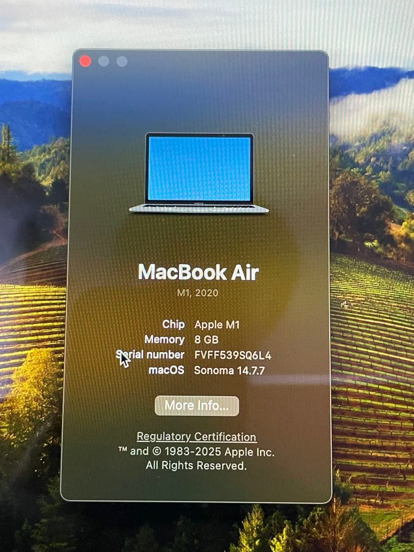 MacBook Air（M1,2020） 8GB 256GB