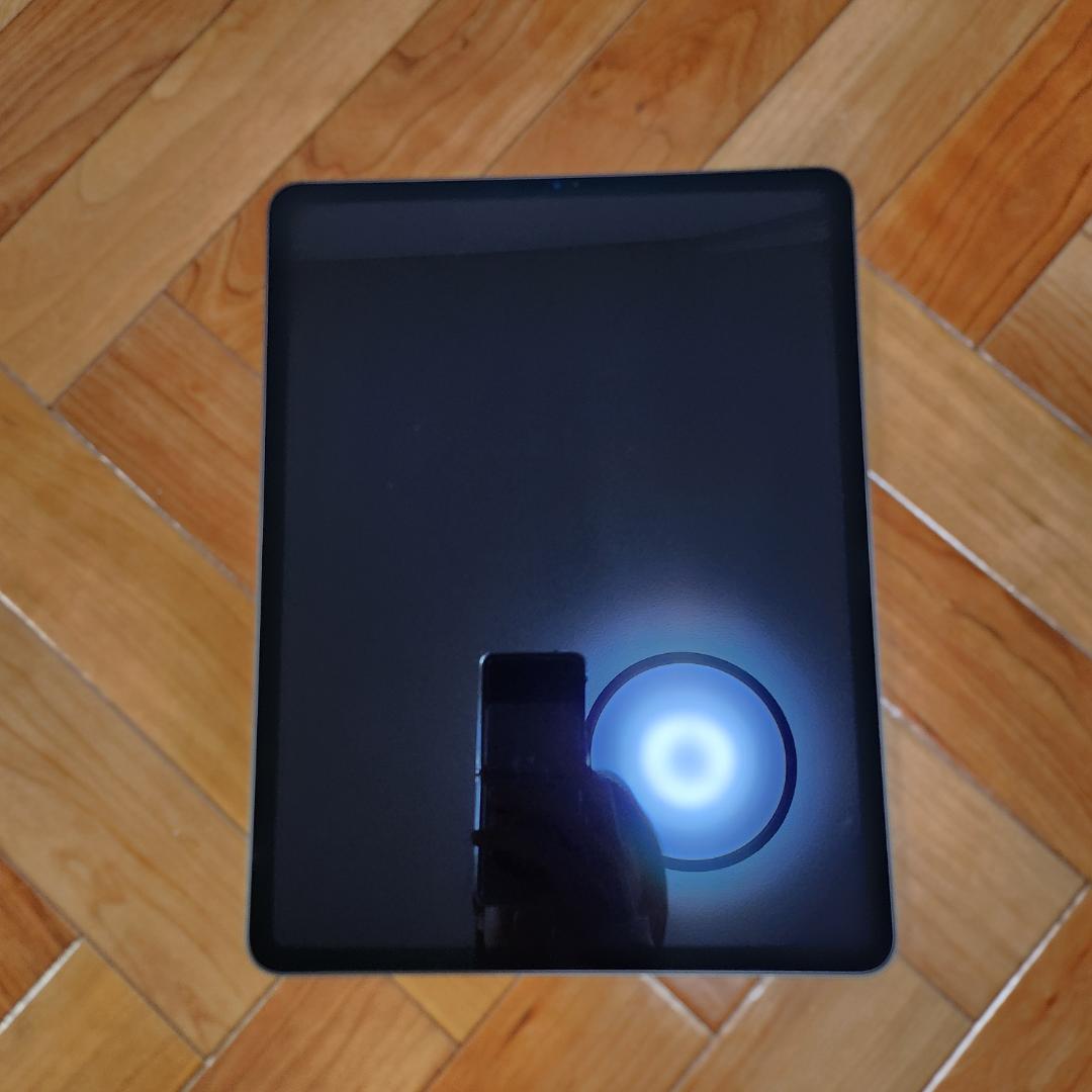 iPad Pro 12.9 5世代 128GB Apple Pencil付き