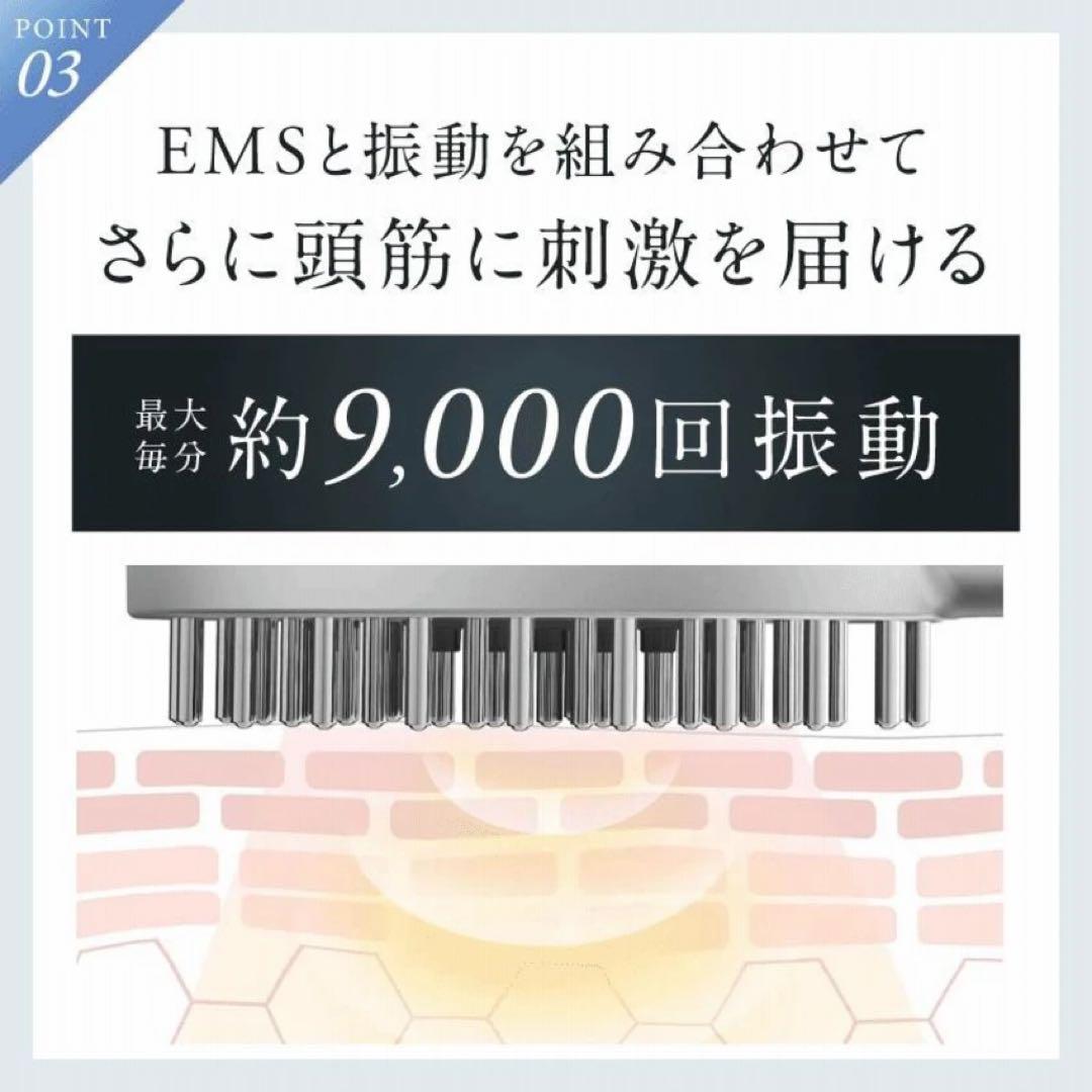 NIPLUX EMS LIFT BRUSH 電気ブラシ EMS 美顔器 ヘッド