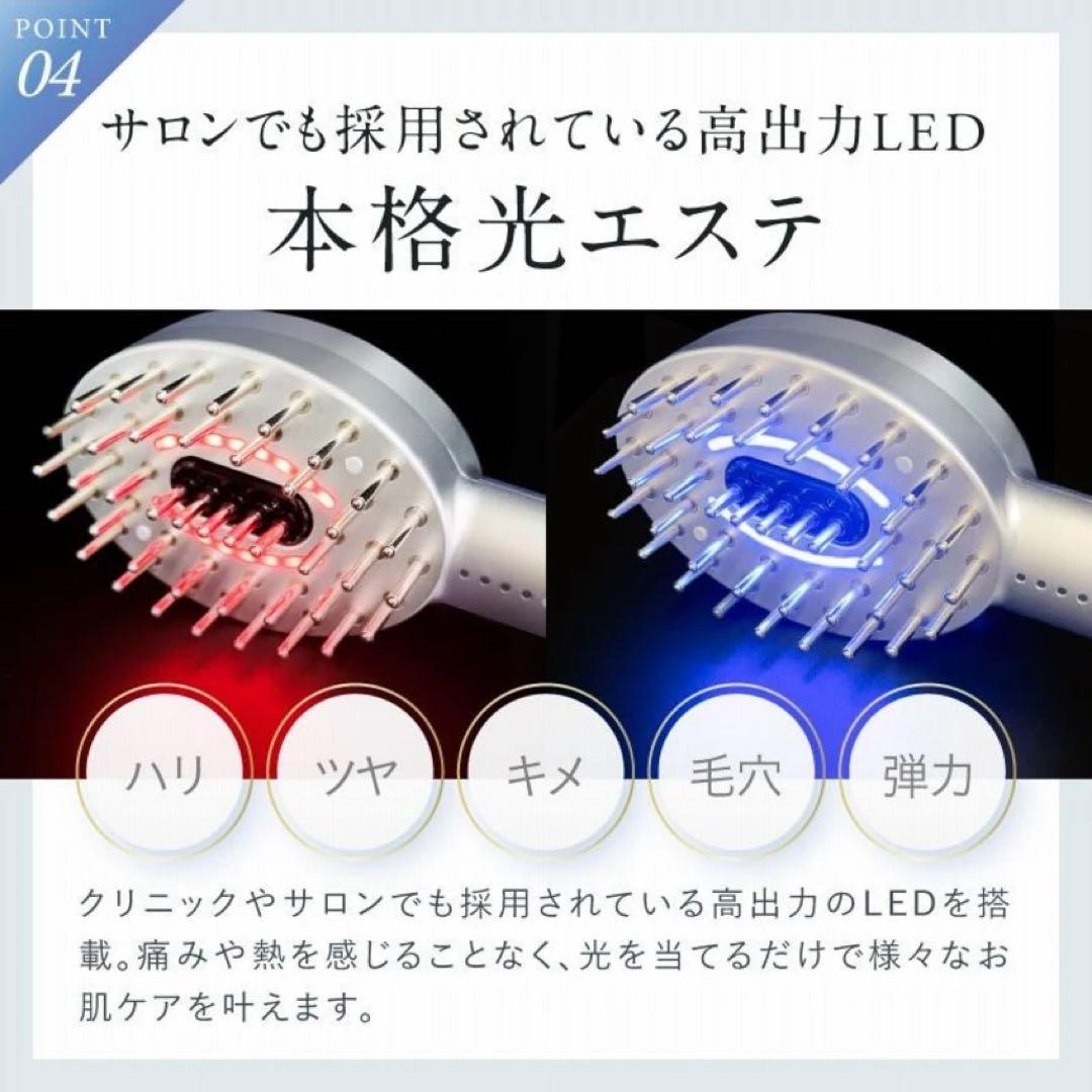 NIPLUX EMS LIFT BRUSH 電気ブラシ EMS 美顔器 ヘッド