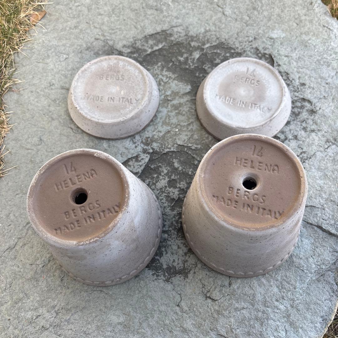 バーグスポッター　ヘレナ14 ⌘2個セット⌘