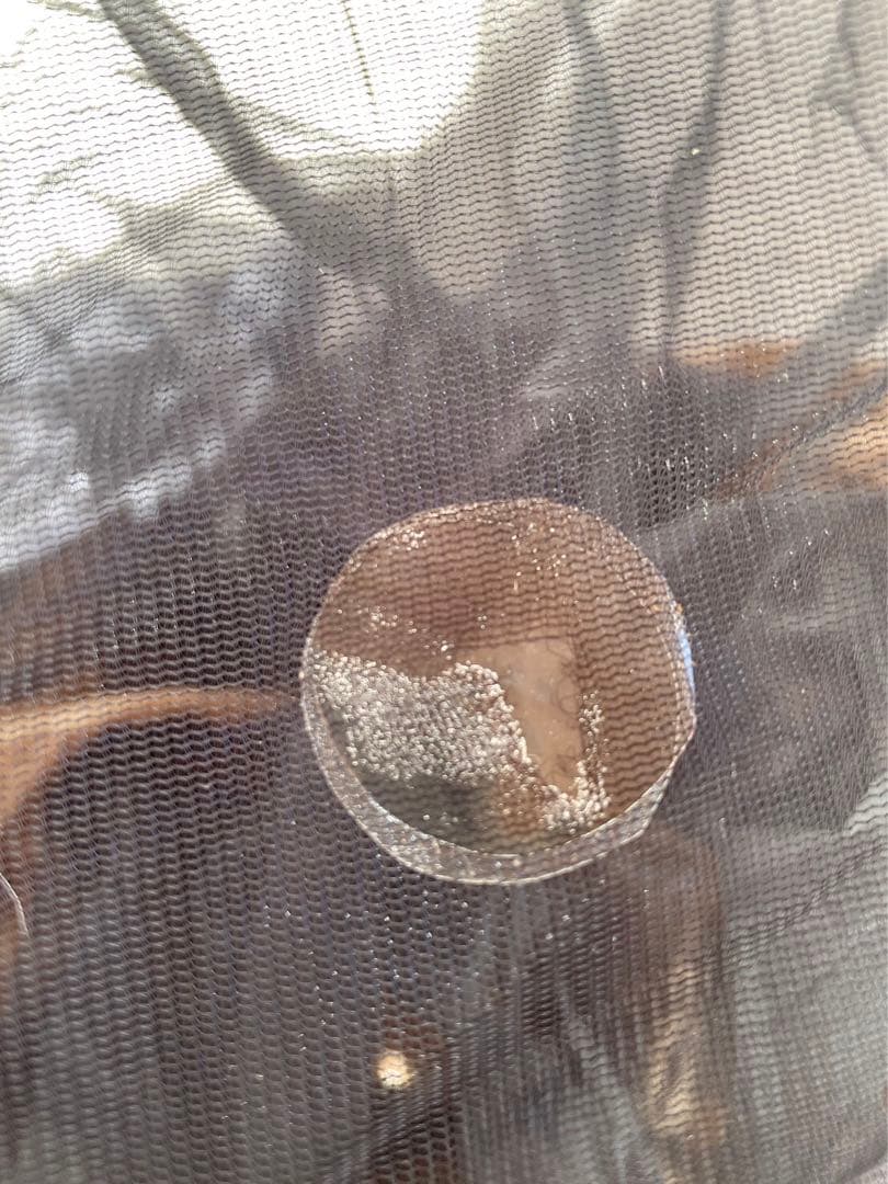 シークアウトサイド　シマロン