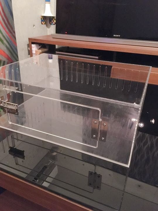 爬虫類ゲージ アクリルゲージ 【 No.4 】