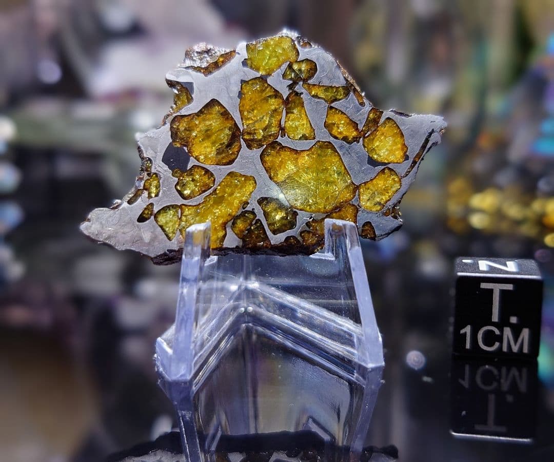 ✨つう✨10.3g イミラック パラサイト 隕石 Imilac⭐️