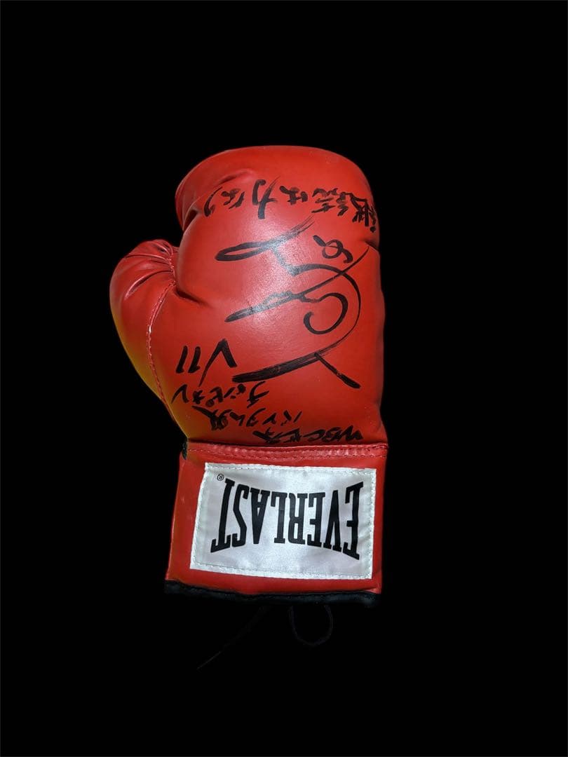 u*f様 山中慎介 直筆サイン入りグローブ WBC バンタム級 V11 赤