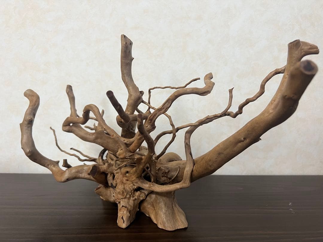 10116ブランチウッド　流木　アクアリウム 沈水確認済