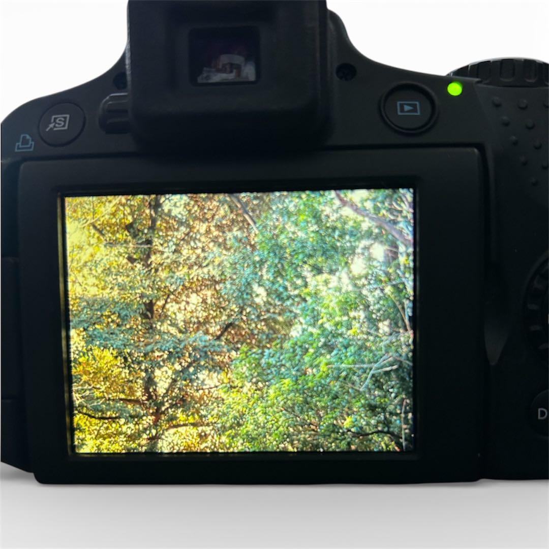 Canon PowerShot SX50 HS 本体