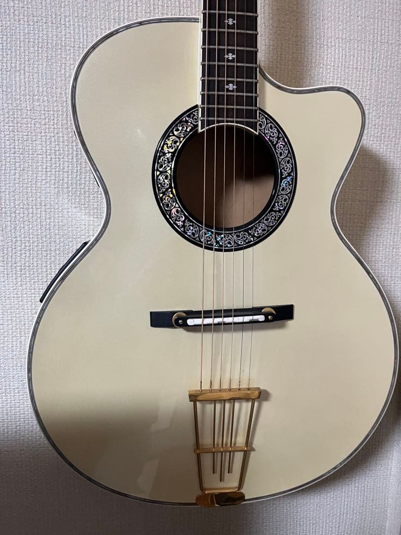 ギター ARIA CUSTOM SHOP AET-120