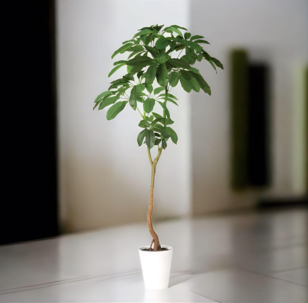 光触媒　人工観葉植物　ウォールグリーン　フェイクグリーン　ブラッサイア210