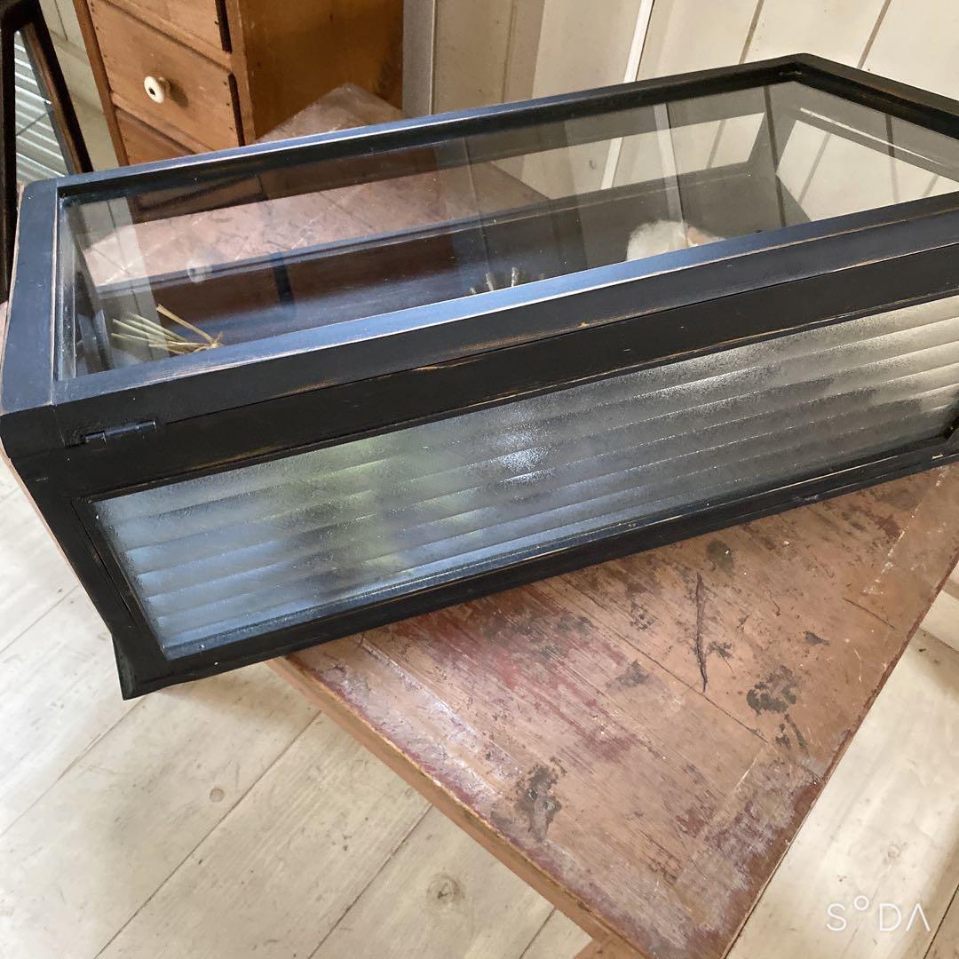 フランスアンティークガラスケース　アクセサリーケース　ディスプレイケース