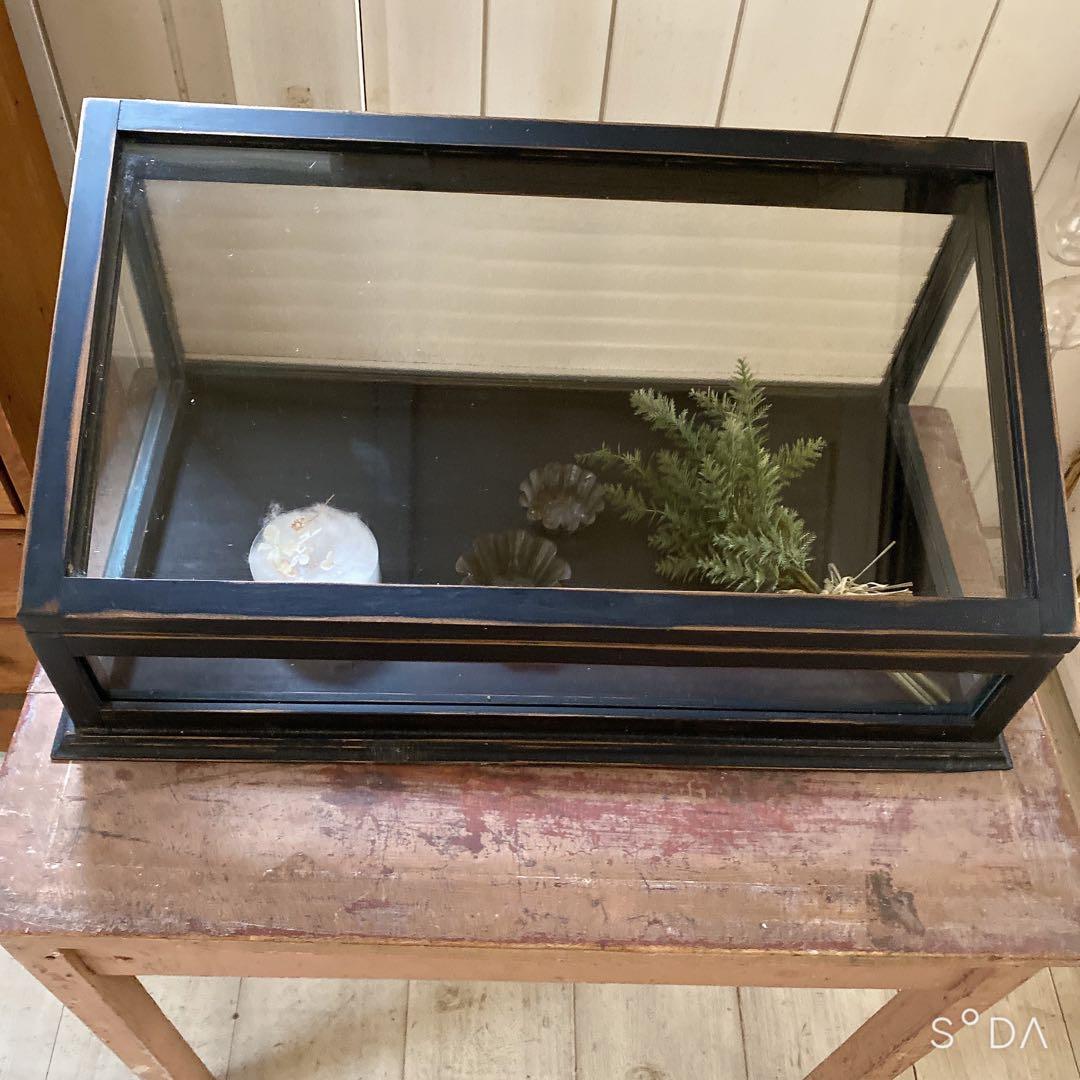 フランスアンティークガラスケース　アクセサリーケース　ディスプレイケース