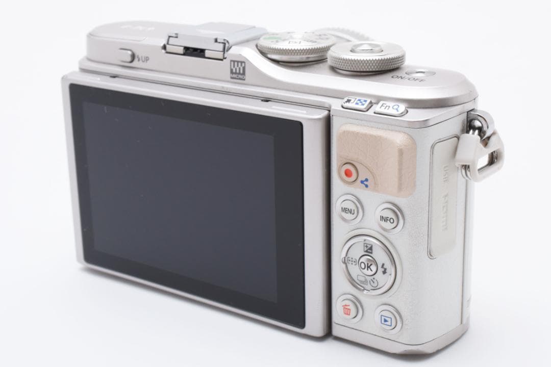 OLYMPUS オリンパス PEN E-PL9 ミラーレス一眼カメラ