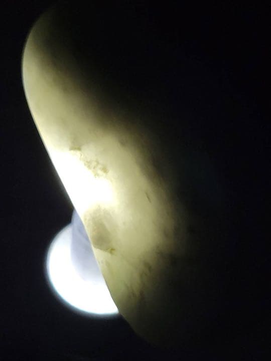 210g。親不知　歌　糸魚川　翡翠　原石　黒白翡翠　海石