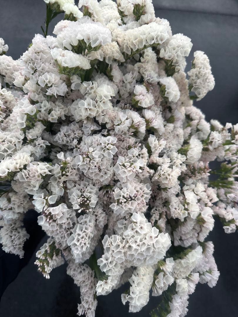 Fluffy様 リクエスト 3点 まとめ商品