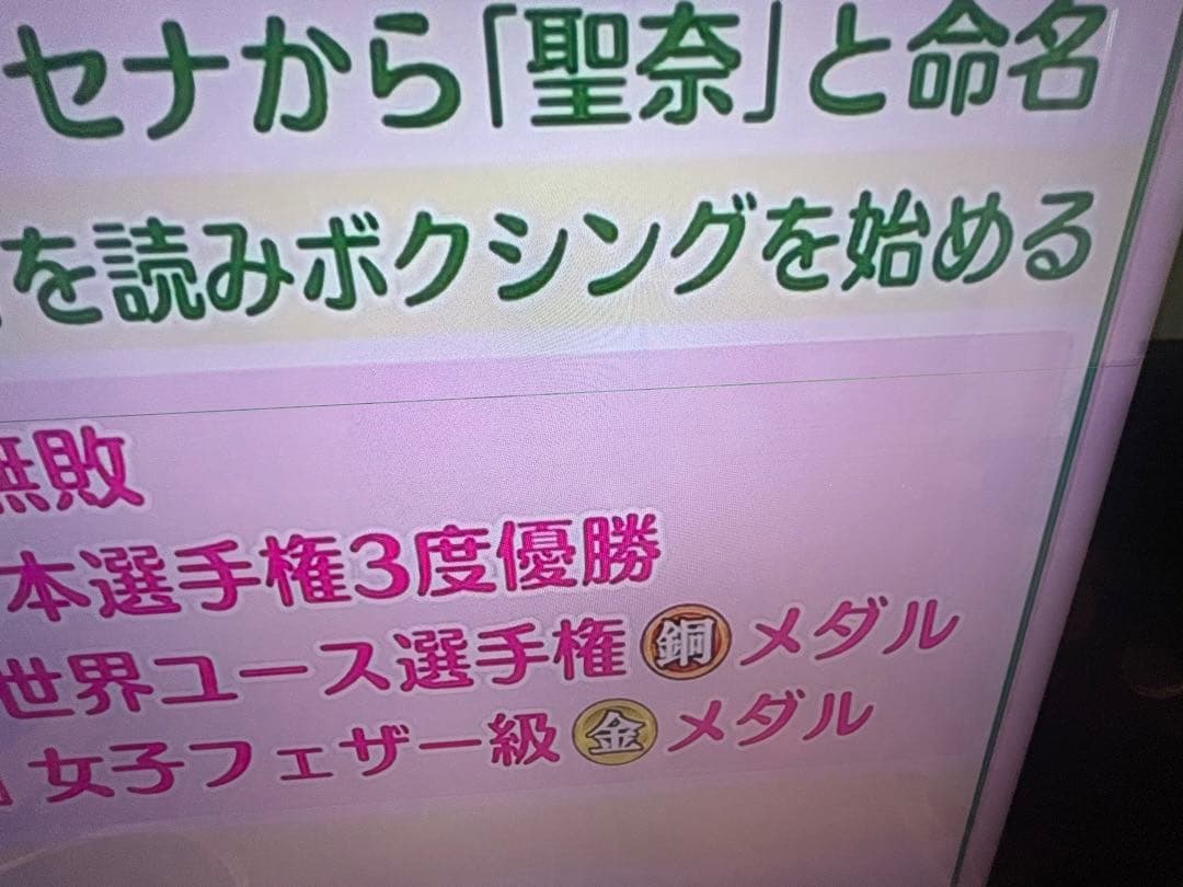 65V型BRAVIA ブラビア KD-65X9200A 画面横線有 その他問題無