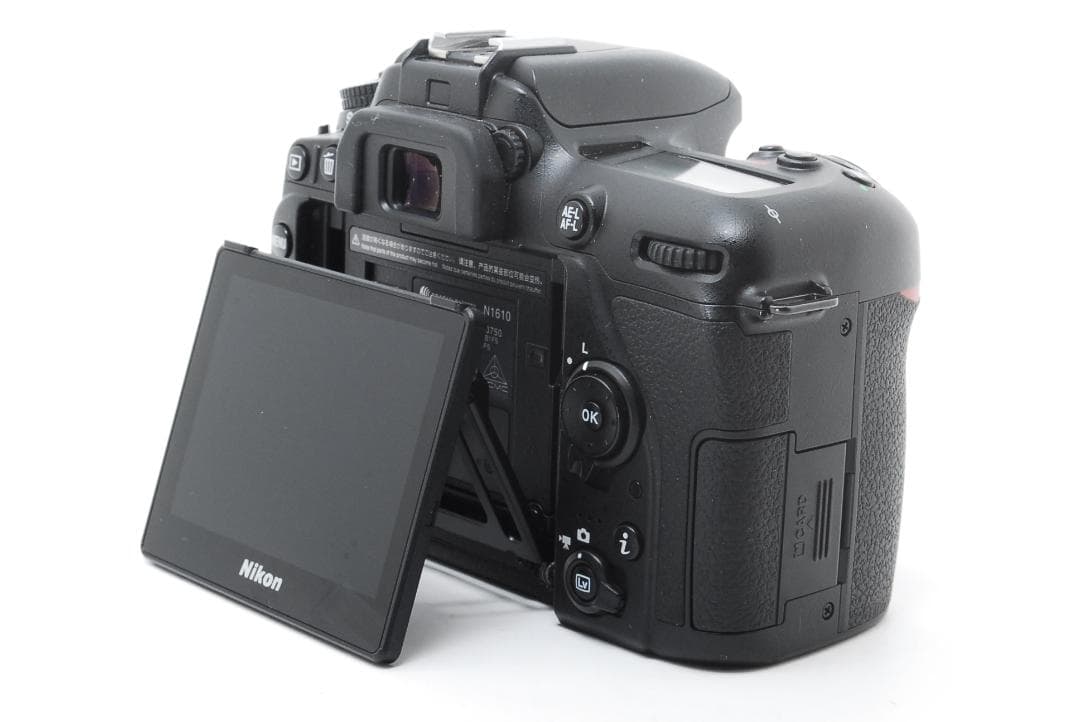 収納バッグ付き高画質D7500＋標準＆望遠レンズセット