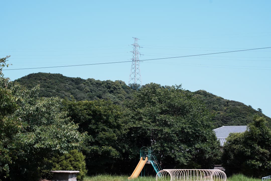 フード付き AF Ai Micor-Nikkor 60mm F2.8D 150