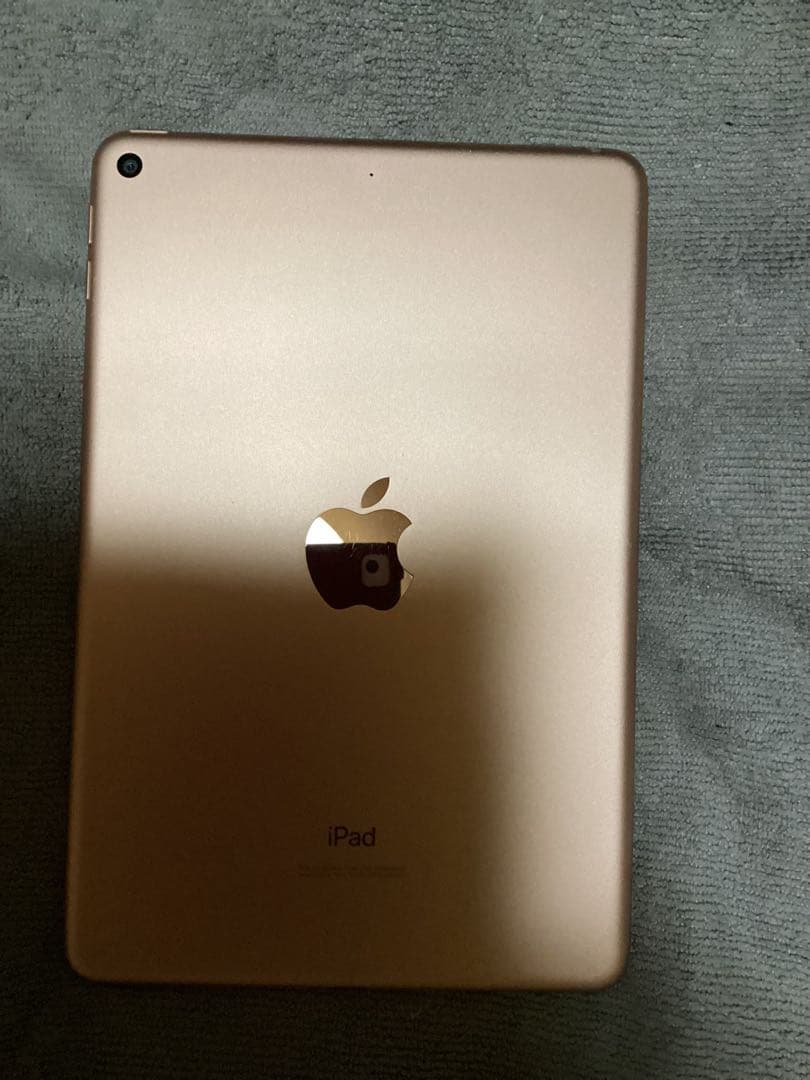 iPad本体 APPLE iPad mini 5 WI-FI 64GB