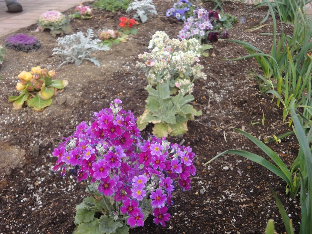 追加あり⭕️【動作確認済】SONY CyberShot WX DSC-WX1